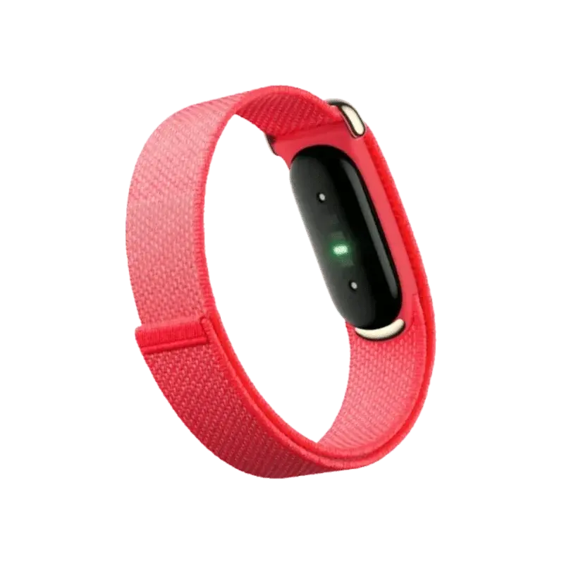 Google Fitbit Air Performance Loop Band