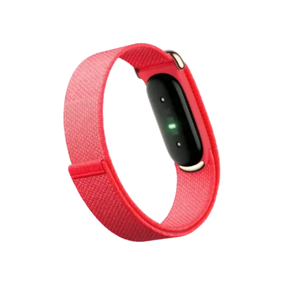 Google Fitbit Air Performance Loop Band