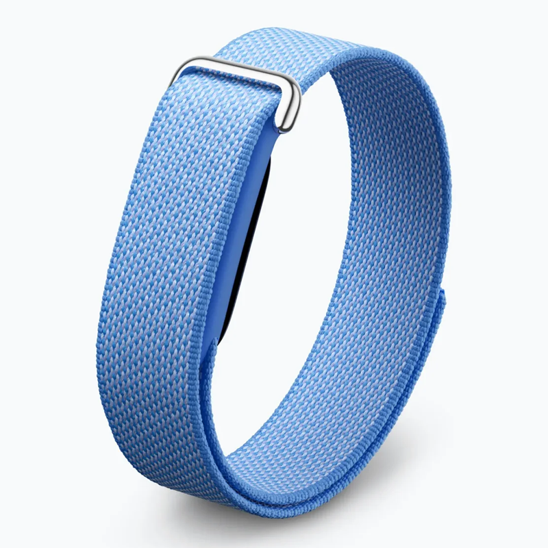 Google Fitbit Air Performance Loop Band