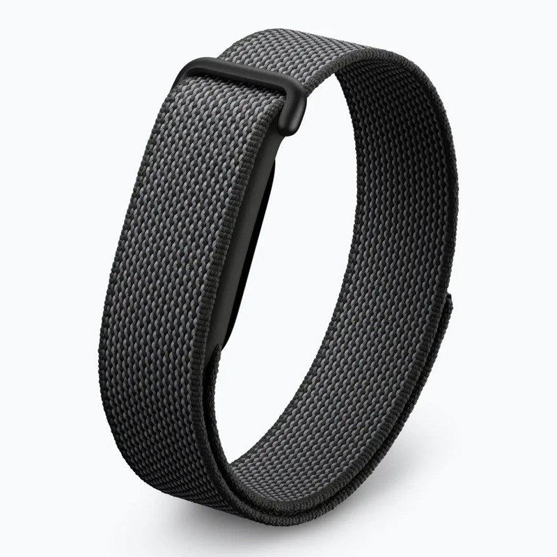 Google Fitbit Air Performance Loop Band