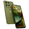 Iguana Green